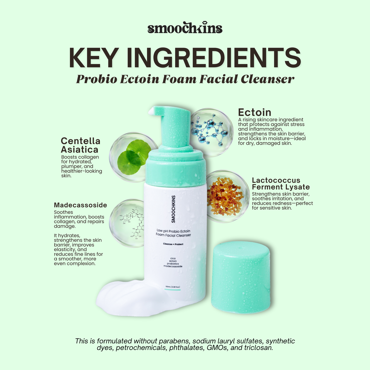 Smoochkins Low pH 2% Salicylic Acid Cleanser 150ml & Probio Ectoin Foam Facial Cleanser 100ml Gel