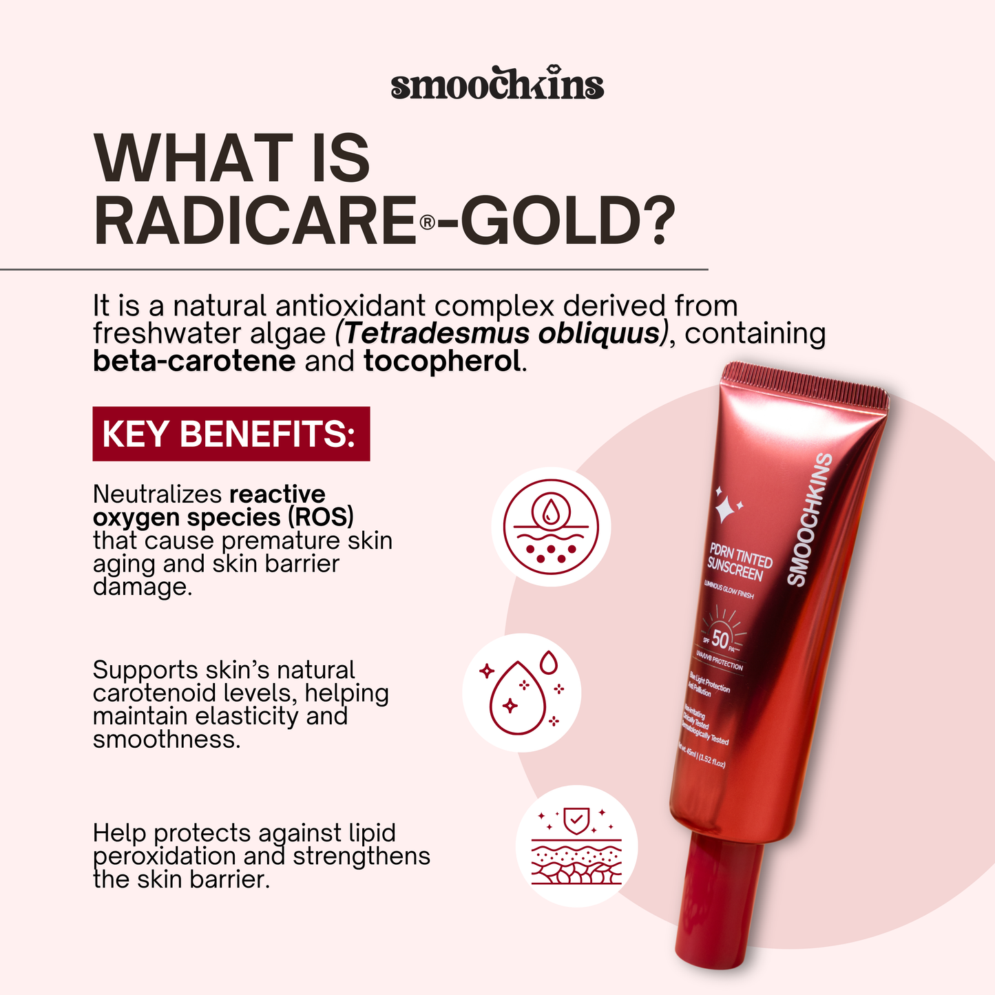 Smoochkins PDRN Tinted Sunscreen SPF50PA++++